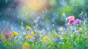 آذار يودعنا بالغبار والأمطار! آذار يودعنا بالغبار والأمطار!