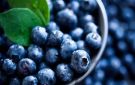 هذا ما يحدث لجسمك عند تناول التوت الأزرق يوميا - lb