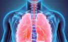 التلوث البيئي العدو الخفي للرئتين - lb