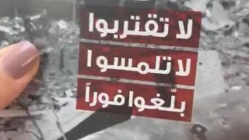 بالفيديو: لا تقتربوا... لا تلمسوا... بلغوا! بالفيديو: لا تقتربوا... لا تلمسوا... بلغوا!