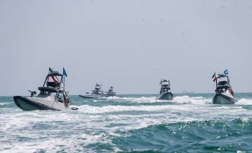 لماذا لا يزال أسطول البعوض يشكل تهديدا خطيرا في مضيق هرمز؟