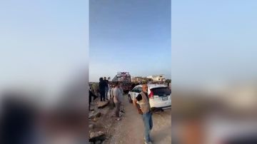 بالفيديو: يعودون إلى الجنوب بالفيديو: يعودون إلى الجنوب