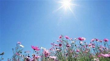 طقس مستقر... حتى الغد