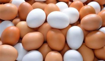 البيض.. غذاء صحي وفوائد متعددة للجسم