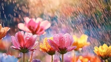 استعدوا لأمطار الربيع... وللبرد!