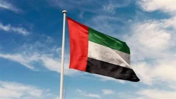 الإمارات تدين الاعتداء على سفارتها في دمشق