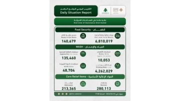 إدارة مخاطر الكوارث في السرايا: 121225 نازحا في مراكز الإيواء و2483 شهيدا و7707 جريحا