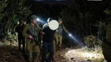 بالصور اعتداء إسرائيلي في شبعا فجرا