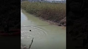 بالفيديو: البحث عن مفقودين جراء الغارات... غطسا