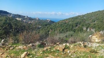 هجمة شيعية لشراء أراض في الشمال هجمة شيعية لشراء أراض في الشمال