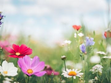 متى يستقر الطقس؟