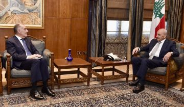 بري دعا إلى جلسة للجان النيابية.. والتقى غابريال وماغرو