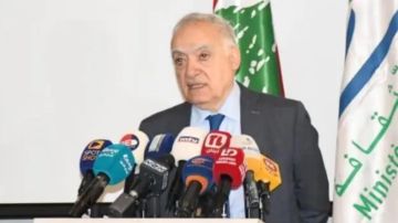 وزير الثقافة: يواصل لبنان جهوده لحماية تراثه