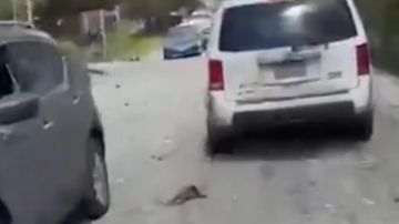 بالفيديو: المشهد في سوق الغرب - عاليه بعد الغارة