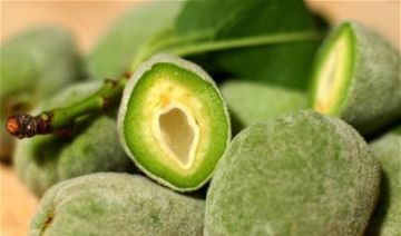 لمحبي اللوز الأخضر.. فوائد قد لا تعرفونها