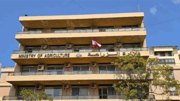 التصنيف المتكامل المستحدث لـIPC: تصاعد النزاع في لبنان أدى إلى تدهور في الأمن الغذائي وبدد التحسنات الأخيرة