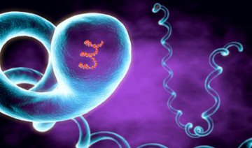 مرض نادر وخطير يهدد سكان ولاية أميركية.. هذه أعراضه