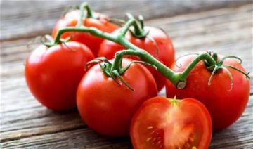 البندورة.. سر الصحة والجمال في طبقك اليومي