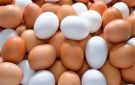 البيض.. غذاء صحي وفوائد متعددة للجسم