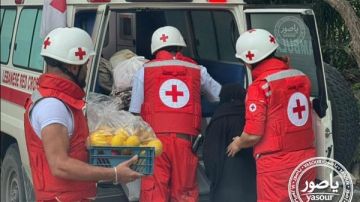 مسنة من النبطية الفوقا ترفض المغادرة قبل إنقاذ مونة بيتها والصليب الأحمر يخليها بأمان