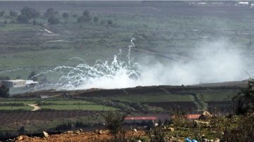 رئة الجنوب... الأكثر تضررا في الحرب رئة الجنوب... الأكثر تضررا في الحرب