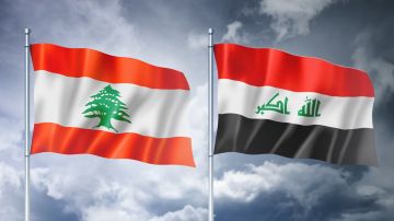 تعاون لبناني - عراقي في ضبط العقيد المزعوم تعاون لبناني - عراقي في ضبط العقيد المزعوم