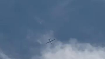بالفيديو: تحليق مسيرة على علو منخفض جدا بالفيديو: تحليق مسيرة على علو منخفض جدا