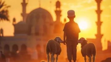 لماذا يحتفل المسلمون بعيد الأضحى؟ لماذا يحتفل المسلمون بعيد الأضحى؟