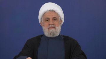 قاسم ممتعض من نجل نصرالله! قاسم ممتعض من نجل نصرالله!