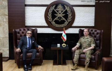 هيكل استقبل السفير المصري وبحثا آخر المستجدات في لبنان والمنطقة