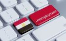 تفاوت ملحوظ في معدلات البطالة بين الذكور والإناث في مصر
