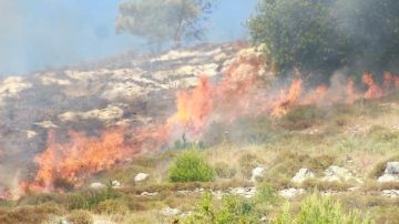 المستوطنون الصهاينة يصعدون اعتداءاتهم في الضفة الغربية المحتلة المستوطنون الصهاينة يصعدون اعتداءاتهم في الضفة الغربية المحتلة
