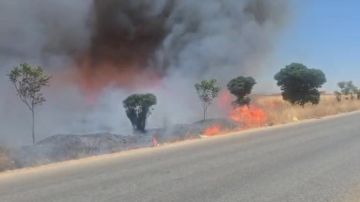 بالفيديو: النيران تلتهم حقول القمح بالفيديو: النيران تلتهم حقول القمح
