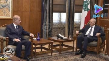 الرئيس بري يلتقي في عين التينة السفير الاميركي ميشال عيسى