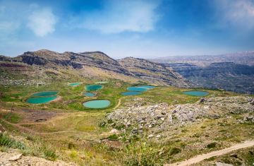إجراء في العاقورة يسهل حياة المزارع إجراء في العاقورة يسهل حياة المزارع