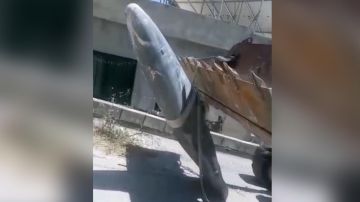 بالفيديو: صاروخ غير منفجر!