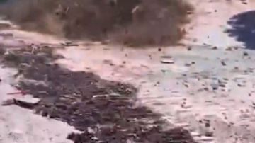 بالفيديو: طرقات المنصوري مدمرة بالكامل بالفيديو: طرقات المنصوري مدمرة بالكامل