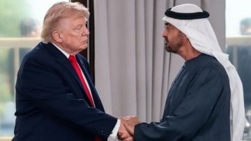 ماذا دار بين رئيس الإمارات وترامب؟ ماذا دار بين رئيس الإمارات وترامب؟