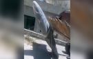 بالفيديو: صاروخ غير منفجر!