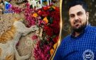 حتى القطط لا تنسى أصحاب القلوب الرحيمة