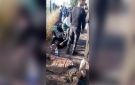 بالفيديو: حادث سير مروع