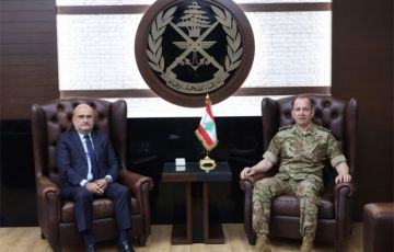 هيكل استقبل أبي رميا وبحث معه الأوضاع العامة
