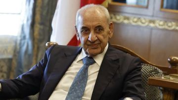 ماذا دار بين بري والسفير المصري؟ ماذا دار بين بري والسفير المصري؟