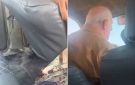  الأسد بريء و صيدنايا كذب فيديو لسائق تاكسي يشعل غضب السوريين