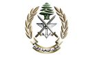 الجيش: تفجير ذخائر غير منفجرة في بلدة زوطر الغربية