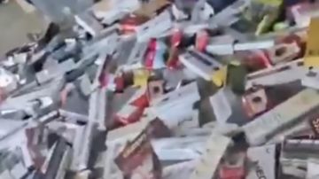 بالفيديو: مداهمة.. ومشاهد صادمة بالفيديو: مداهمة.. ومشاهد صادمة