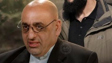 الدكتور هادي دلول : السوري سيدخل طرابلس ! الدكتور هادي دلول : السوري سيدخل طرابلس !