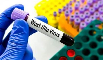 فيروس حمى غرب النيل يتفشى في اوروبا.. ومنظمة الصحة العالمية تحذر