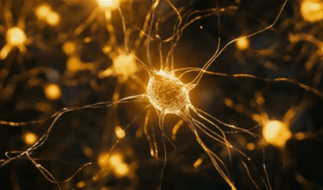 تحذير.. هذا ما تفعله الكحول بالمراهقين! تحذير.. هذا ما تفعله الكحول بالمراهقين!