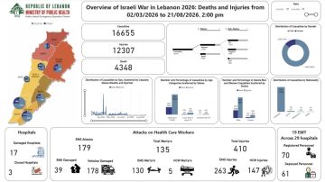إليكم حصيلة الضحايا منذ 2023 إليكم حصيلة الضحايا منذ 2023
